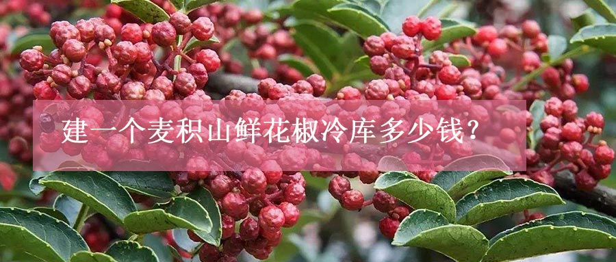 建一個(gè)麥積山鮮花椒冷庫多少錢？