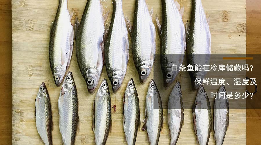 白條魚冷庫儲藏溫度、相對濕度及時間介紹