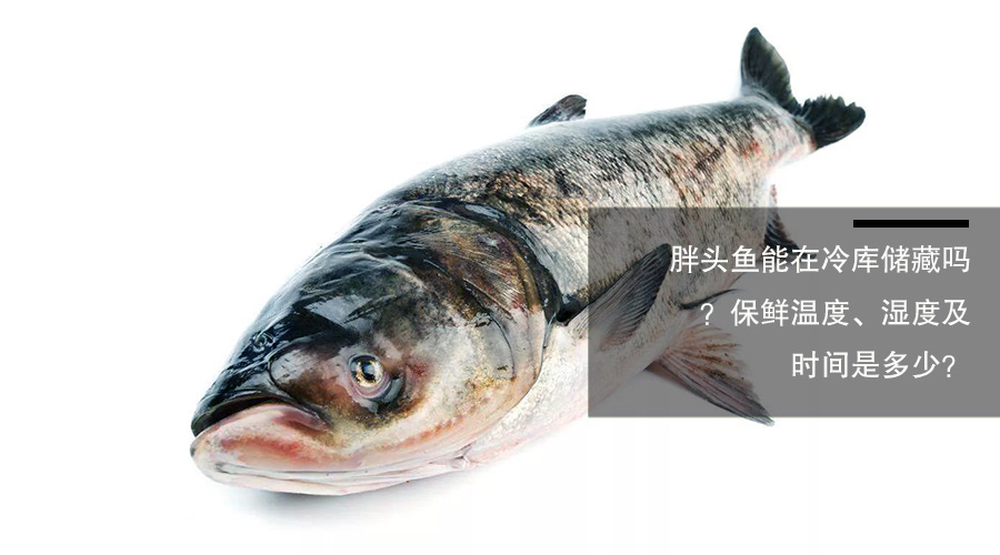 胖頭魚（鳙魚）冷庫儲藏溫度、相對濕度及貯藏時間介紹