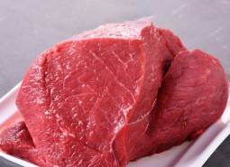 青海民和肉牛肉900平米冷凍庫設(shè)計安裝工程建造方案