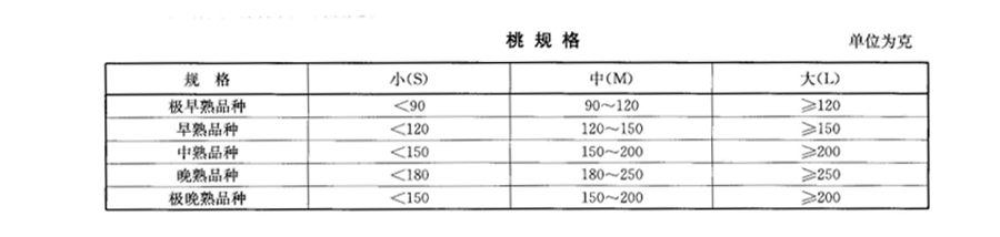 桃子大小規(guī)格標準