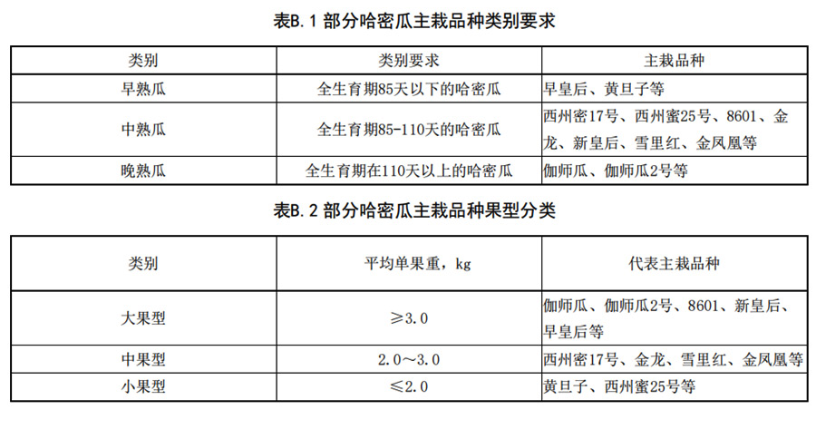 哈密瓜早、中、熟瓜和大中型瓜的分類要求