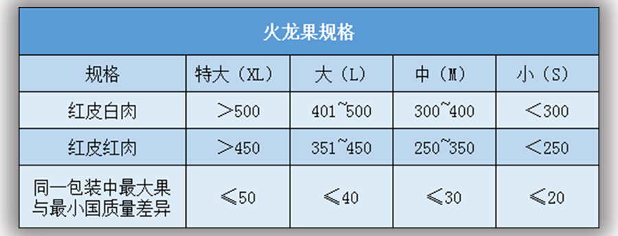 火龍果放冷庫前大小規(guī)格標準