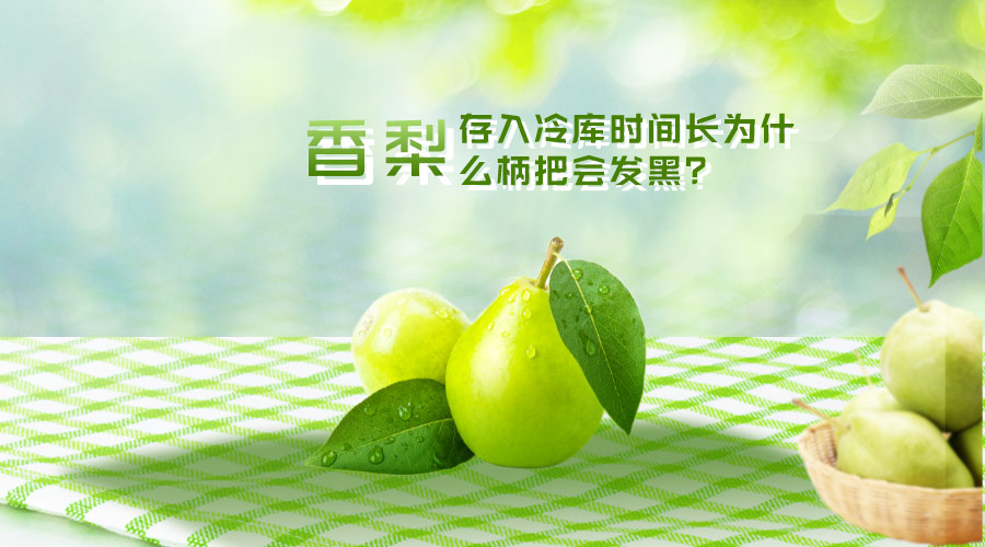 香梨存入冷庫(kù)時(shí)間長(zhǎng)為什么柄把會(huì)發(fā)黑？