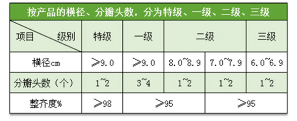 蘭州百合入冷庫前分級質(zhì)量標準參考