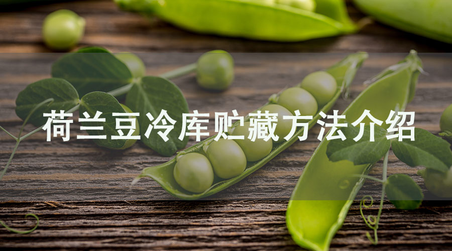 荷蘭豆冷庫(kù)貯藏方法