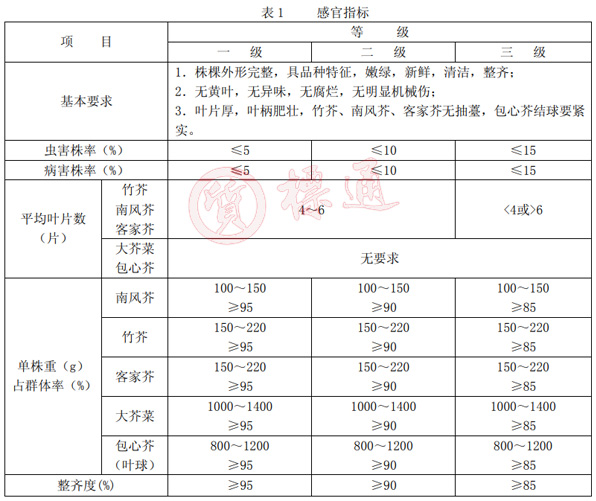 芥菜分級標(biāo)準(zhǔn).jpg