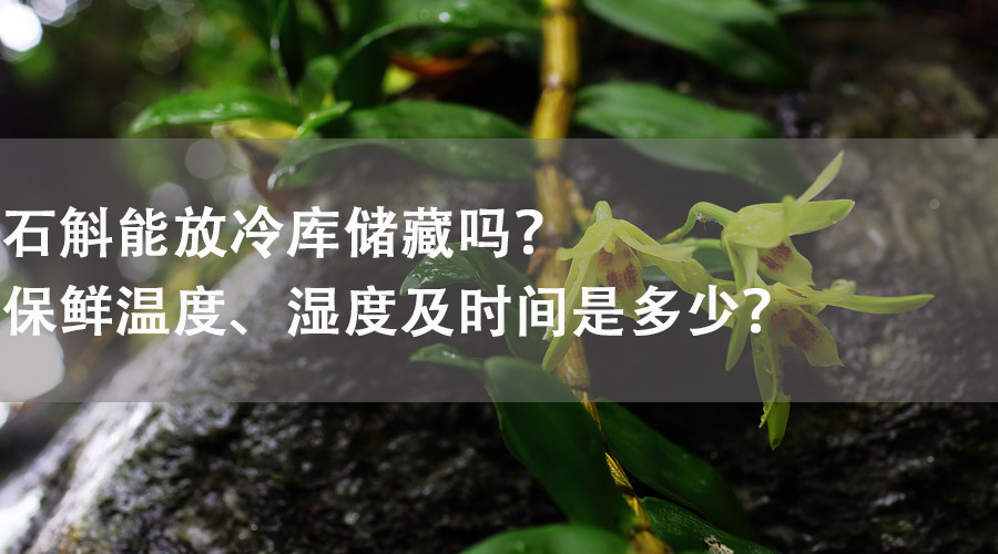 石斛能放在冷庫儲藏嗎？保鮮溫度、濕度及時間是多少？