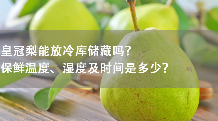 皇冠梨能在冷庫(kù)儲(chǔ)藏嗎？保鮮溫度、濕度及時(shí)間是多少？