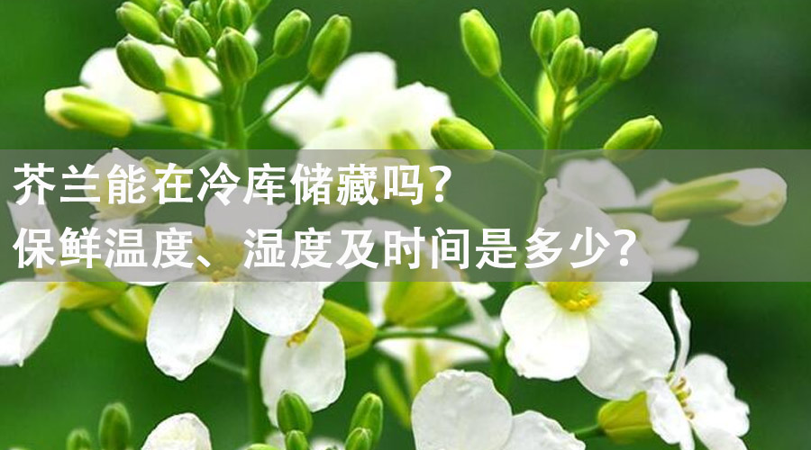 芥蘭能在冷庫(kù)儲(chǔ)藏嗎？保鮮溫度、濕度及時(shí)間是多少？