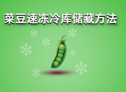 四季豆（菜豆）速凍冷庫儲藏方法詳解，保鮮時間1年不變質(zhì)！